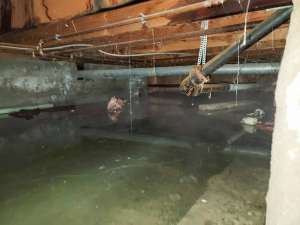 Best Water damage restoration near me  in Hydro, OK