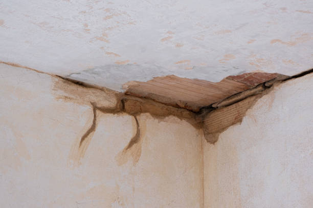 Best Ceiling water damage repair  in Hydro, OK