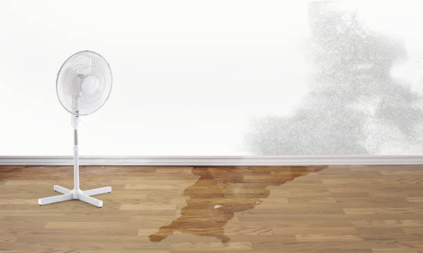Best 24-hour water damage restoration  in Hydro, OK