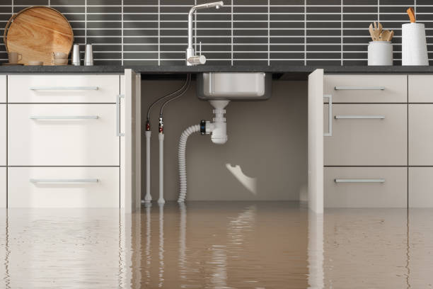 Best Basement water damage restoration  in Hydro, OK