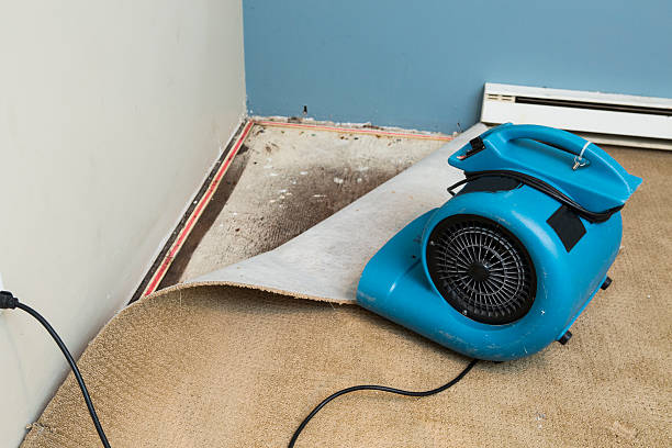 Best Professional water damage repair  in Hydro, OK